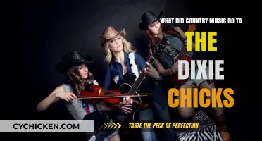 The Country Music Betrayal of the Dixie Chicks