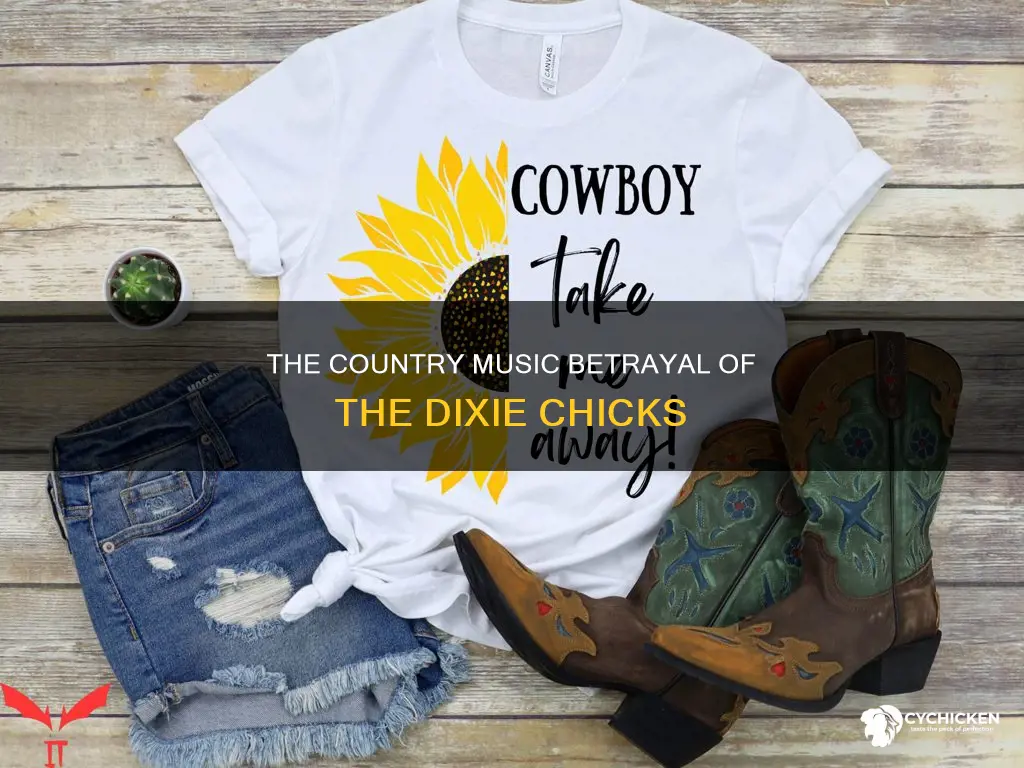 what did country music do to the dixie chicks