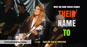 Why the Dixie Chicks Changed Their Name to The Chicks