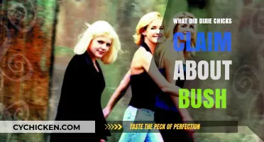 Dixie Chicks' Bold Claim: Bush Misled America Before Iraq War