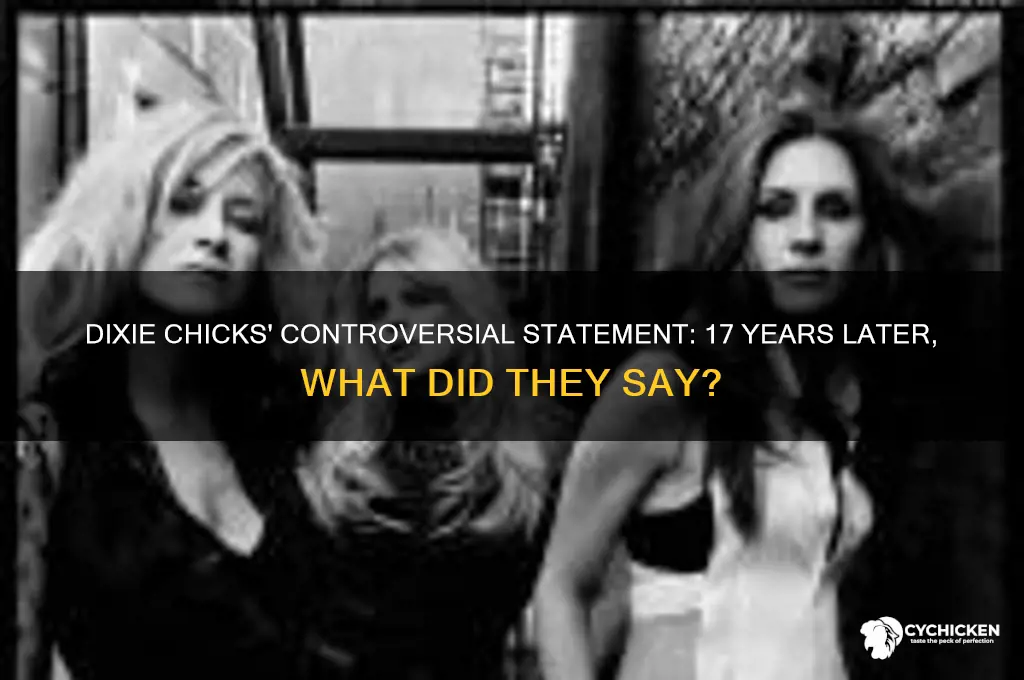 what did dixie chicks say 17 years ago