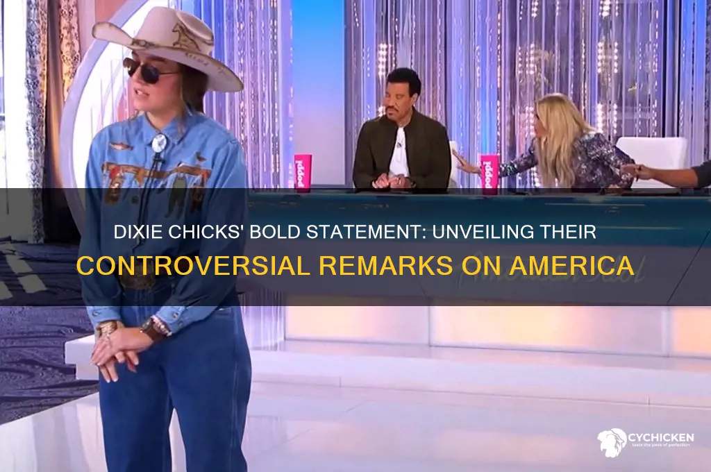 what did dixie chicks say about our country