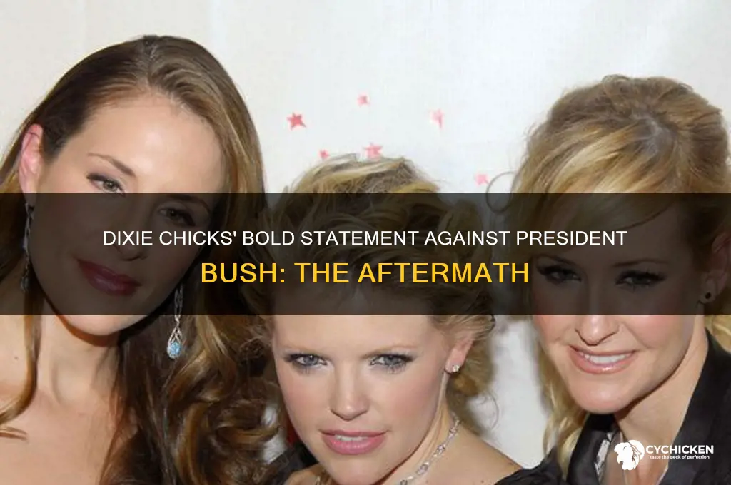 what did dixie chicks say about president bush