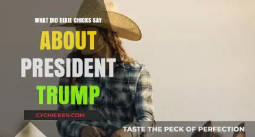 Dixie Chicks' Bold Statement Against President Trump: What They Said