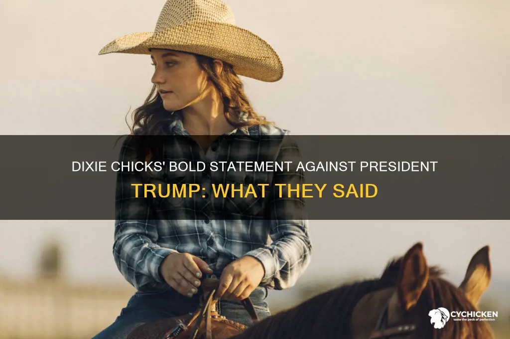 what did dixie chicks say about president trump