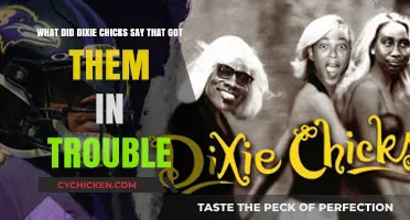 Dixie Chicks' Controversial Words: What Got Them Cancelled?