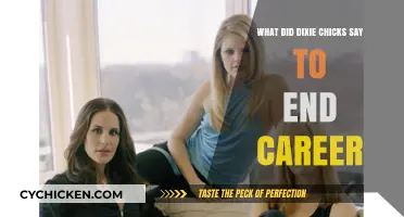 Dixie Chicks' Controversial Statement: The Words That Ended Their Career
