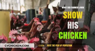 Farmer John's Surprising Lesson: What He Showed His Chickens