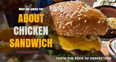 Ja Rule's Unexpected Take on the Viral Chicken Sandwich Debate