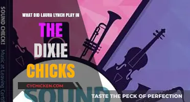 Laura Lynch's Role in the Dixie Chicks
