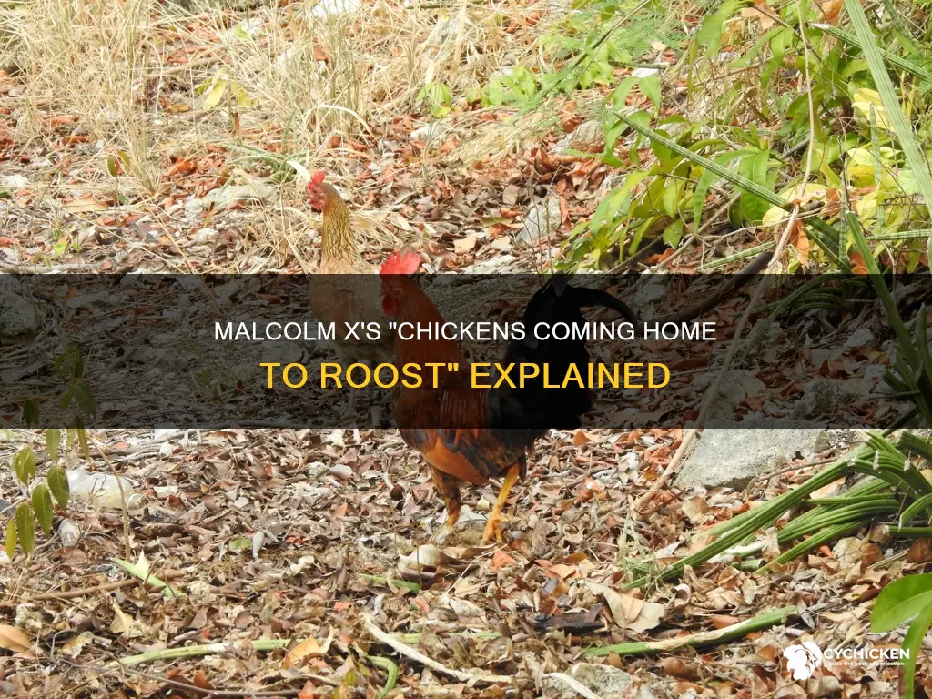 what did malcolm means about chicken coming home to roost