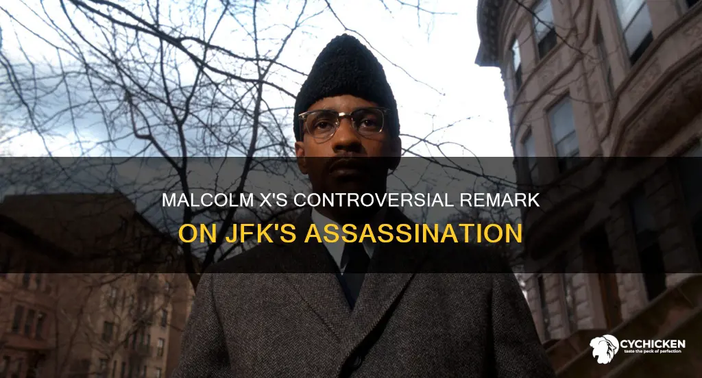 what did malcolm x mean president kennedy death chicken