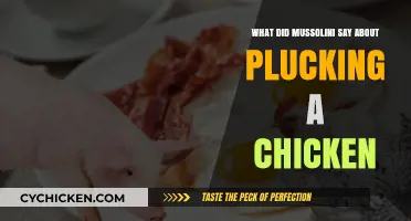 Mussolini's Bizarre Analogy: Plucking Chickens and Political Power Explained