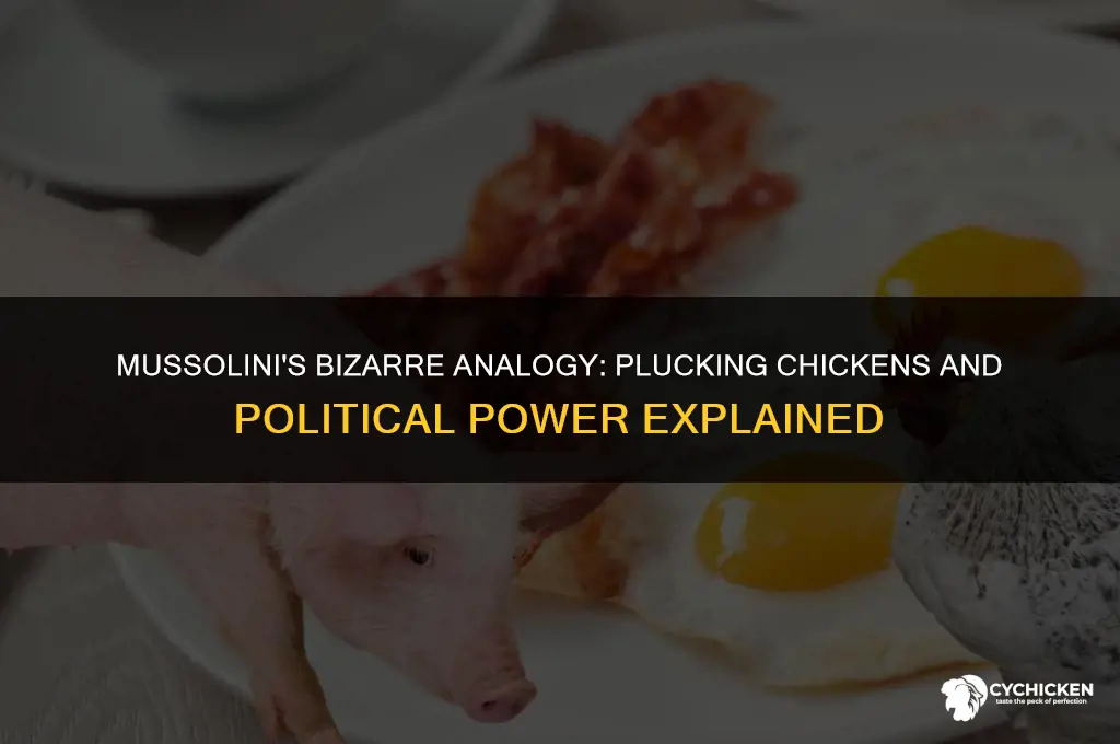 what did mussolini say about plucking a chicken