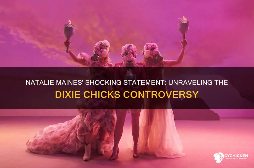 what did natalie from the dixie chicks say