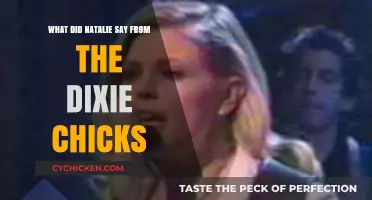 Natalie Maines' Impactful Statement from the Dixie Chicks Explained