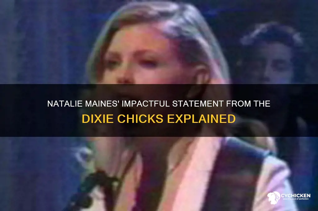 what did natalie say fr9m the dixie chicks