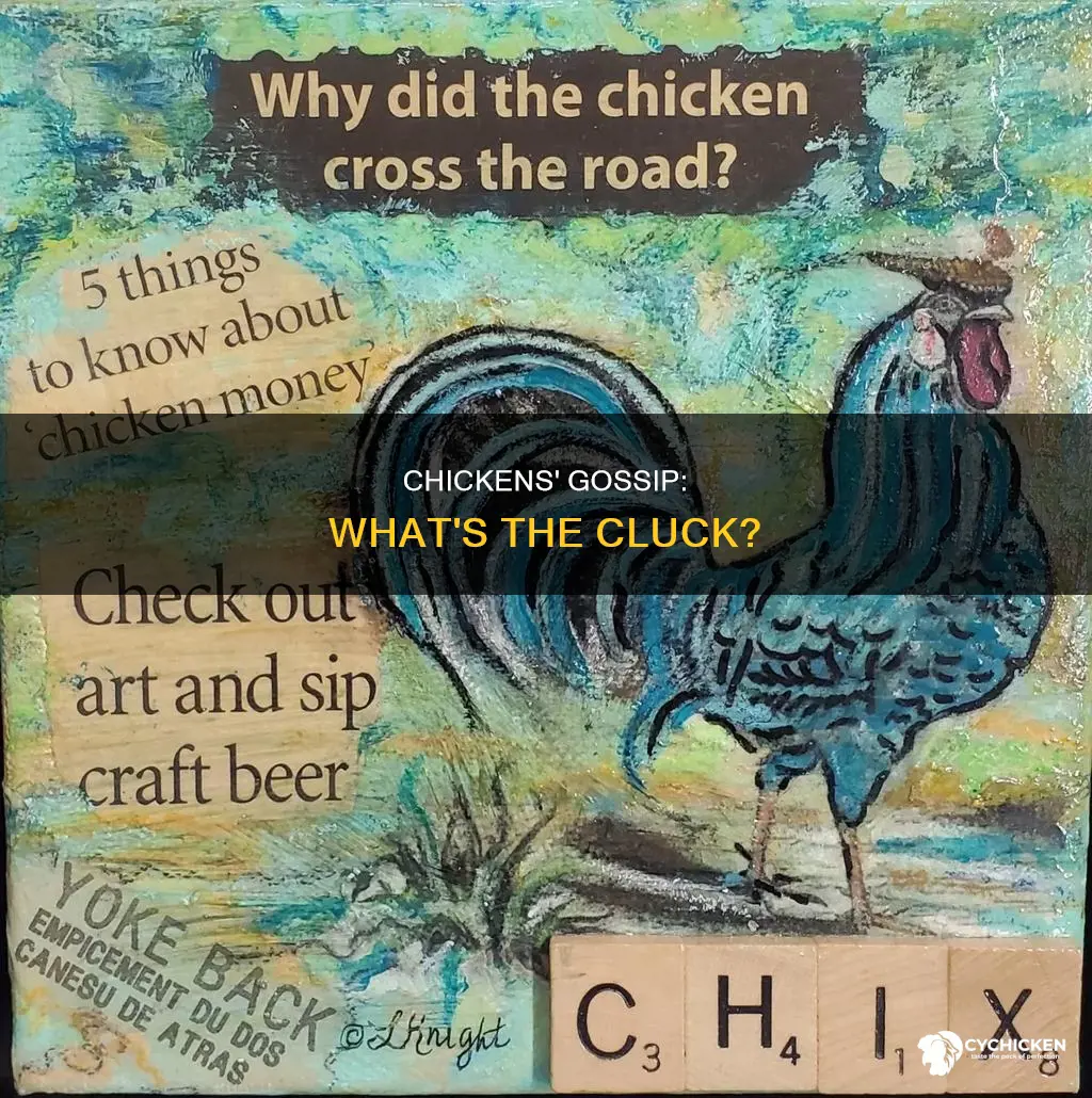 what did one chicken say to the other chicken