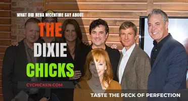Reba McEntire's Support for the Dixie Chicks