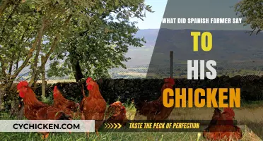 Spanish Farmer's Hilarious Chicken Conversation: Unraveling the Mystery