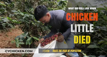 Sula's Loss: Unraveling Chicken Little's Death and Its Aftermath
