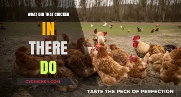 What Did That Chicken Do? Unraveling the Mystery Inside