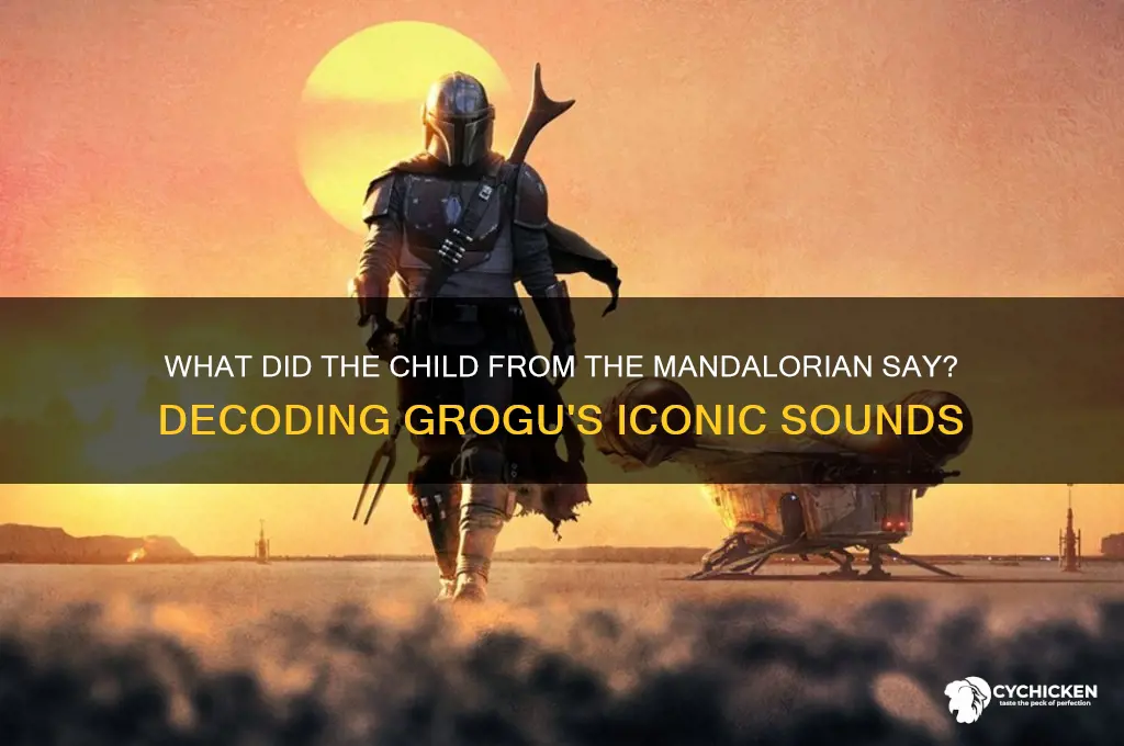 what did the chick from mandalorian say