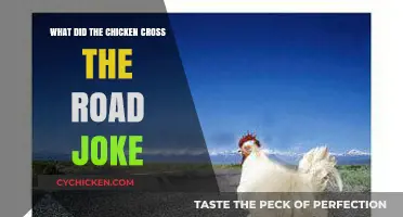 Why Did the Chicken Cross the Road? Unraveling the Timeless Joke