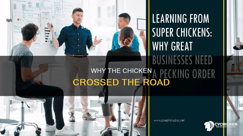 what did the chicken do once it crossed the road