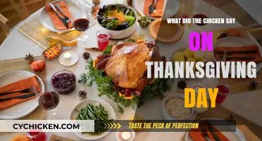 Clucking Grateful: The Chicken's Hilarious Thanksgiving Day Message