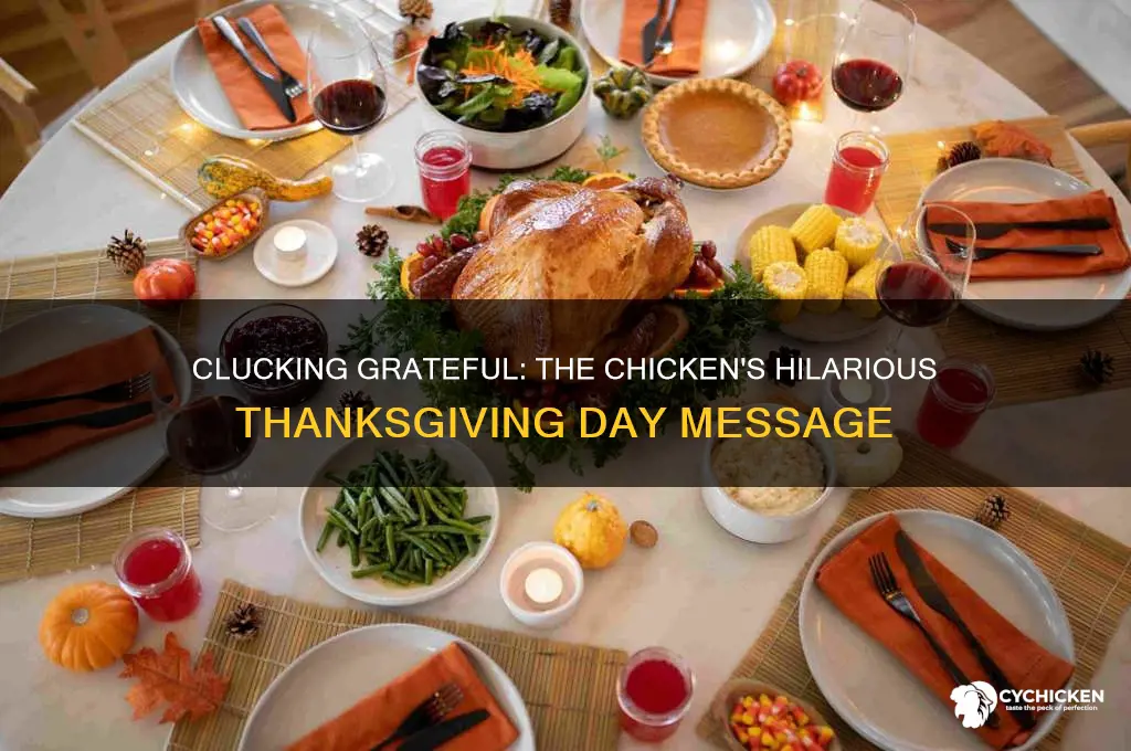 what did the chicken say on thanksgiving day