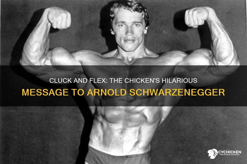 what did the chicken say to arnold schwarzenegger