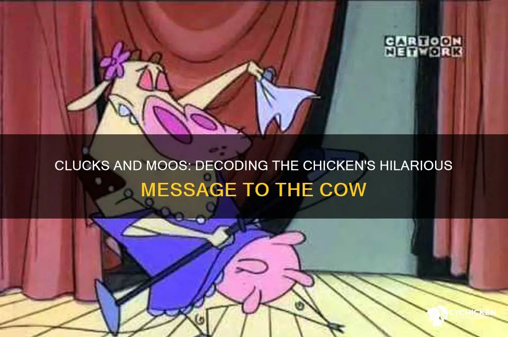 what did the chicken say to the cow