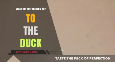 What Did the Chicken Say to the Duck? Unraveling the Barnyard Banter