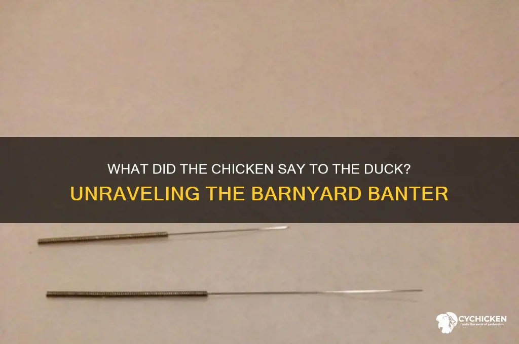 what did the chicken say to the duck