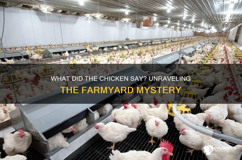 what did the chicken say to the farmer