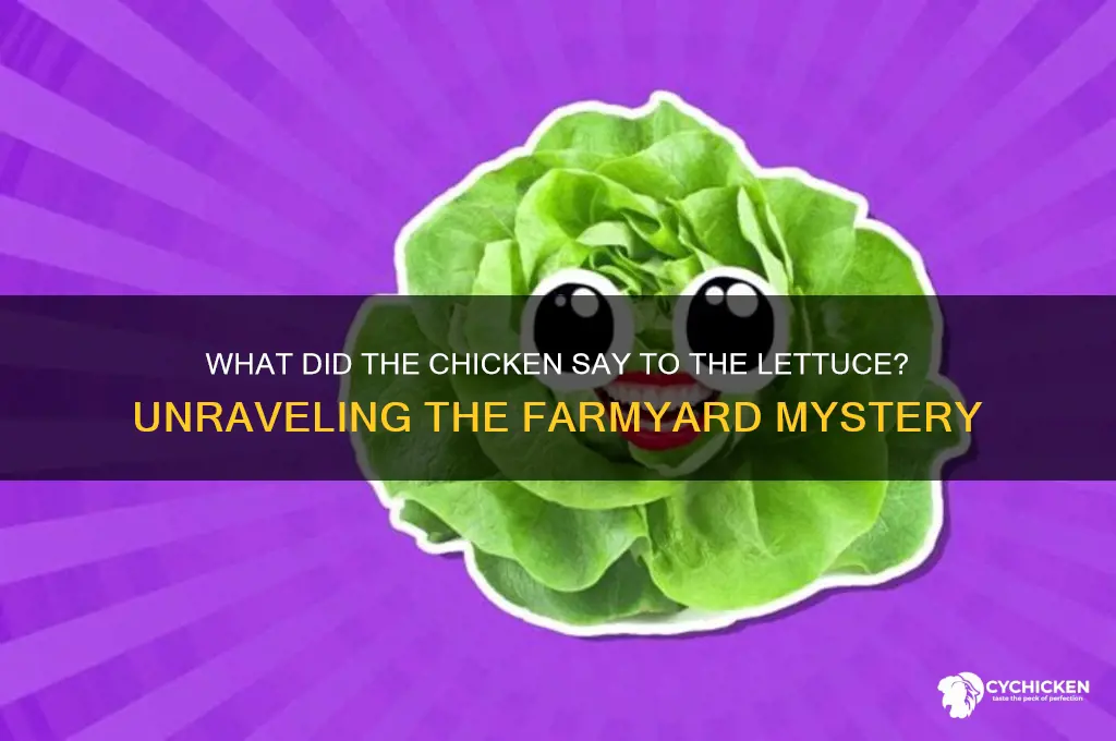 what did the chicken say to the lettuce