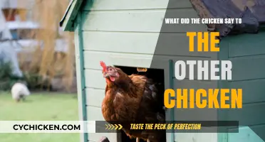 Chickens' Gossip: What's the Cluck?