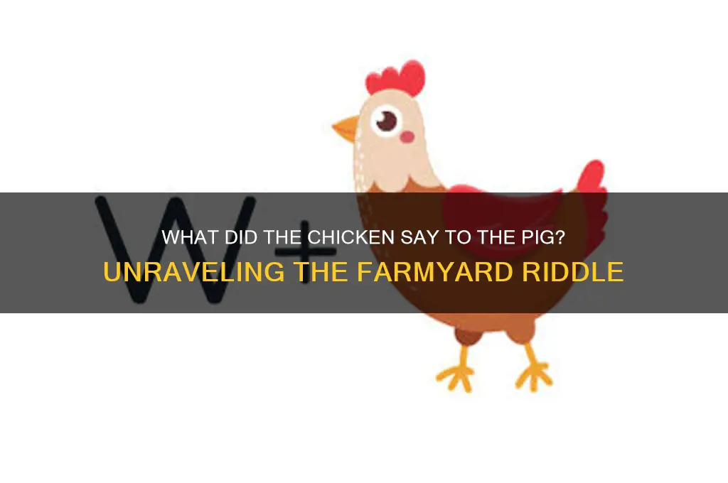 what did the chicken say to the pig