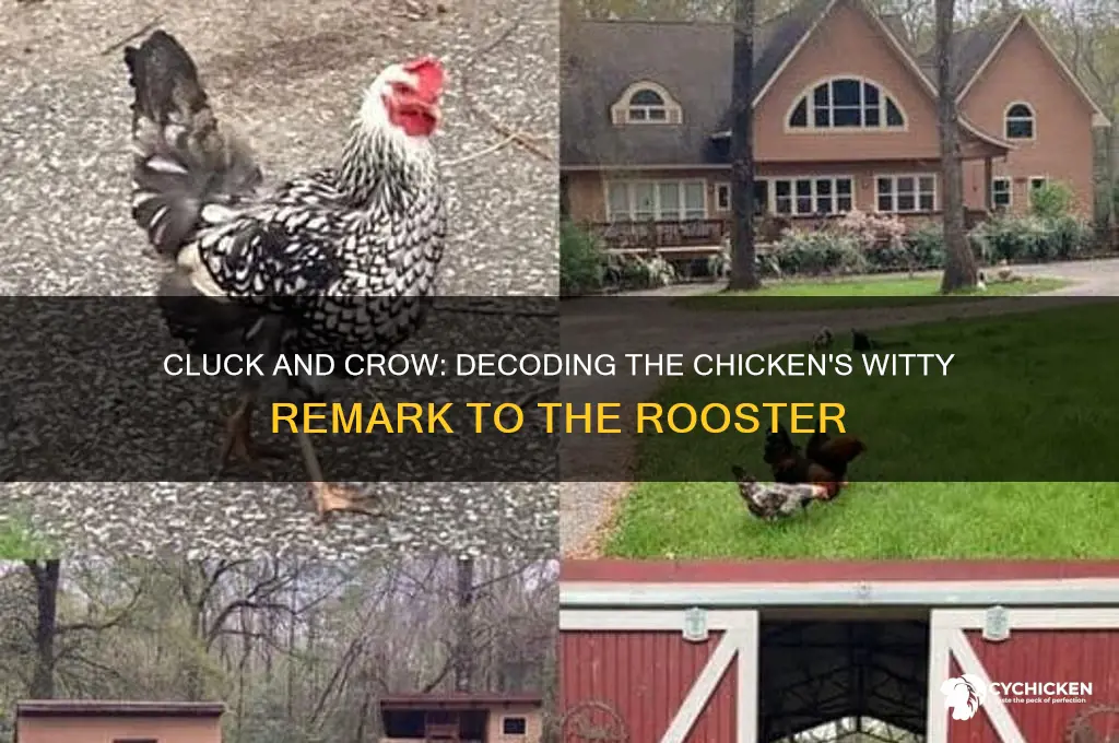 what did the chicken say to the rooster