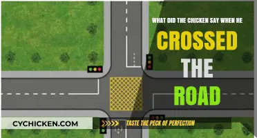 Why Did the Chicken Cross the Road?