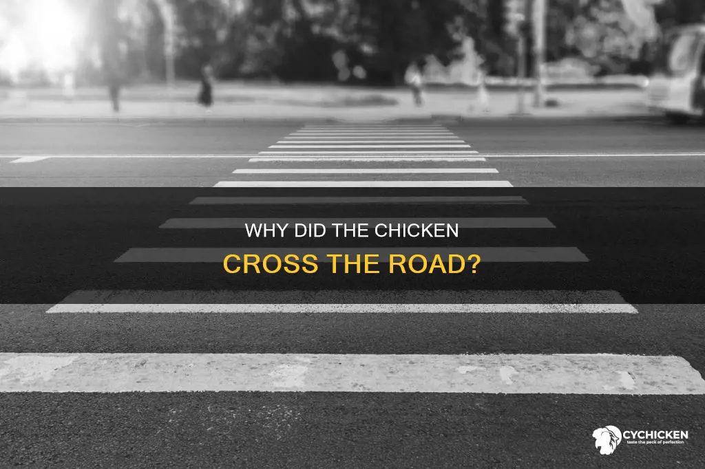 what did the chicken say when he crossed the road