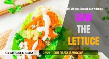 Why Did the Chicken Cross the Road? Lettuce Investigate!