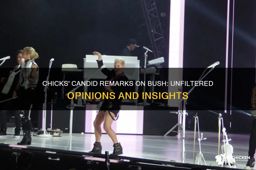what did the chicks say about bush