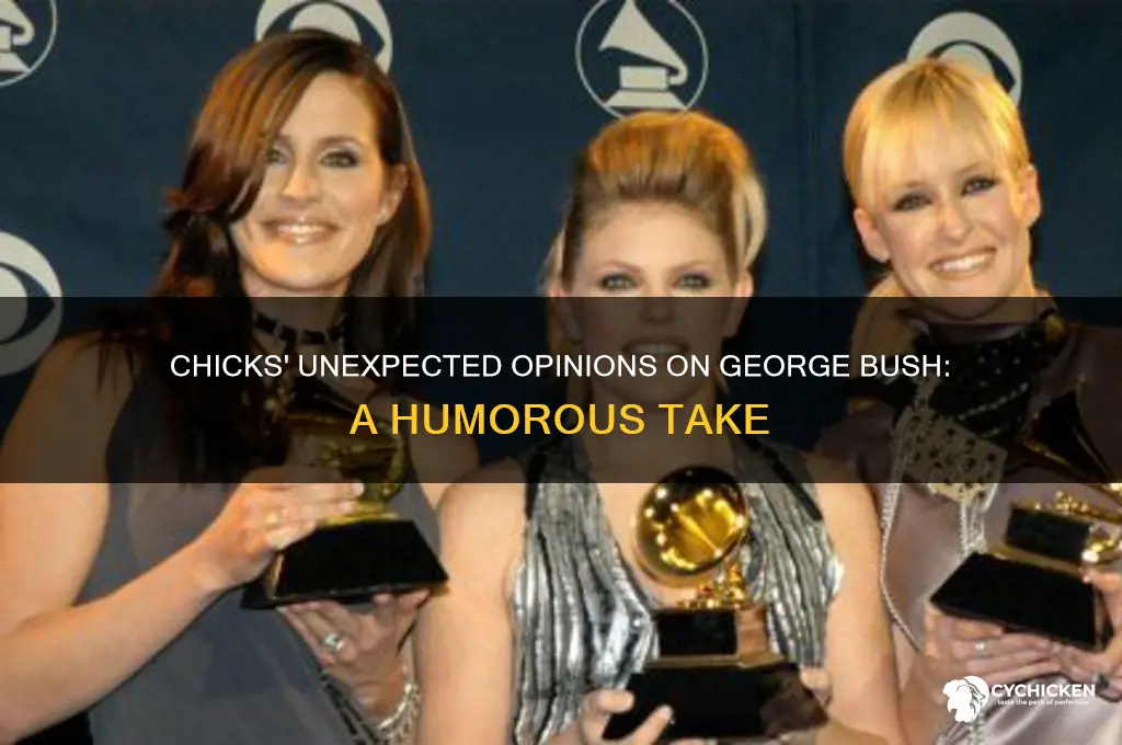 what did the chicks say about george bush