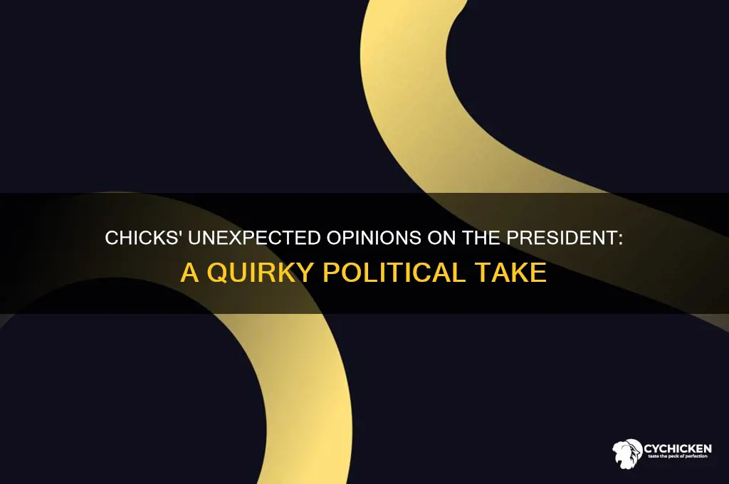 what did the chicks say about the president