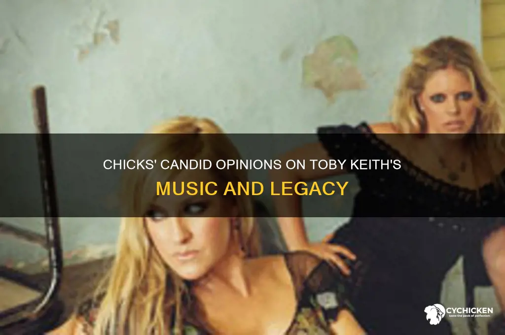 what did the chicks say about toby keith