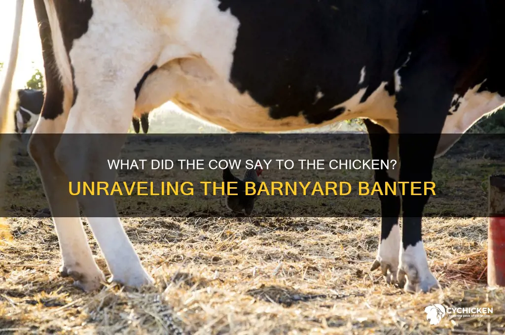 what did the cow say to the chicken