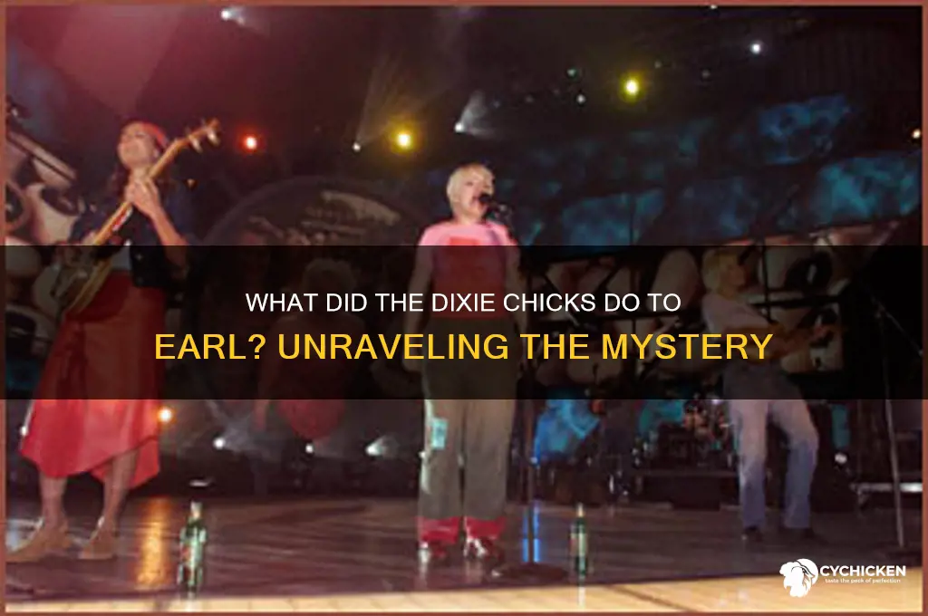 what did the dixie chicks do to earl