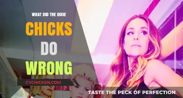 The Dixie Chicks' Controversial Statement: What Went Wrong and Why?